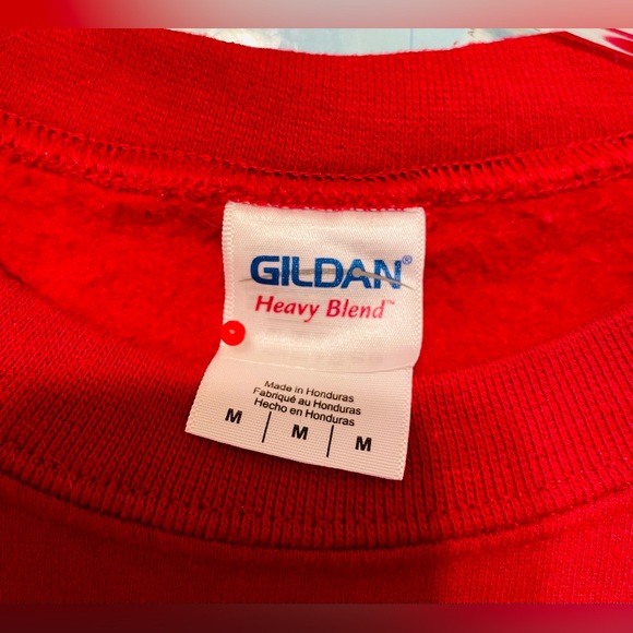 Medium Crew Neck Holiday Sweater "Have a Nasty Holiday" in Red Gender Neutral - Picture 3 of 5